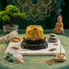 Golden Frog – Wealth, Prosperity & Good Luck Vastu Decor