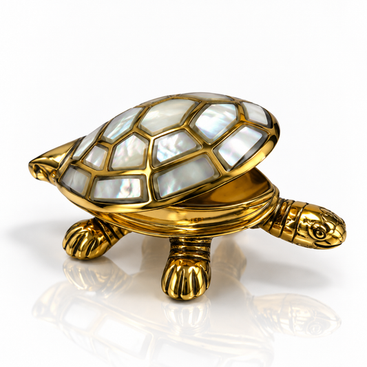 Wishing Turtle