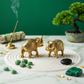 Elephant Pair Gold