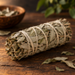 Sage