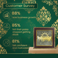 7 Horse Pyrite Frame – Wealth, Success & Career Growth Vastu Frame