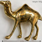 Gold camel figurine with measurements on a white background